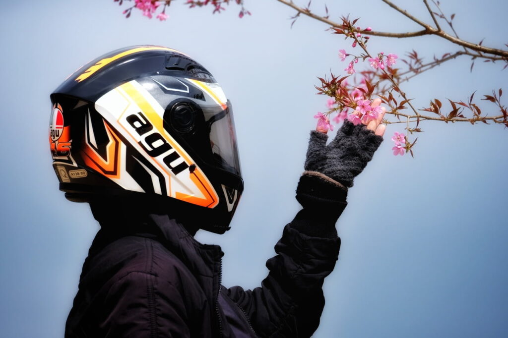 flower outerwear helmet sports equipment sports gear motorcycle helmet 1668246 pxhere.com